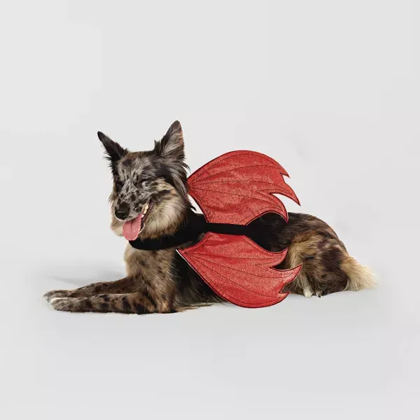 Photo 1 of S/M Halloween Reversible Red Devil or Angel Wings Dog and Cat Costume - Hyde and EEK!