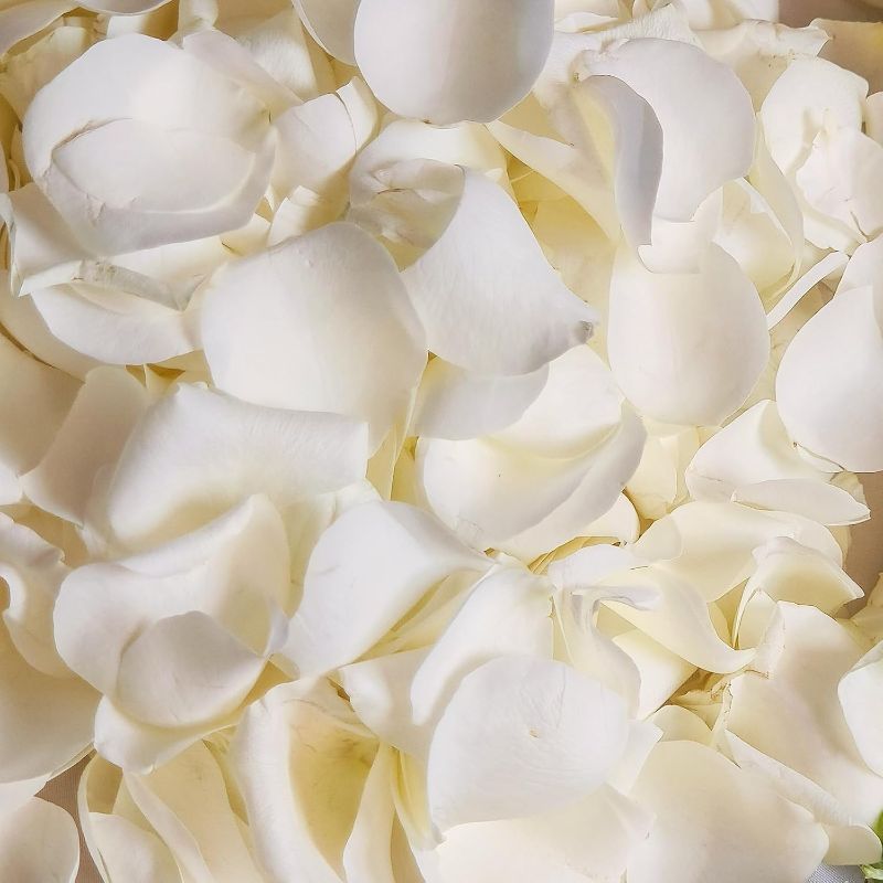 Photo 1 of Dried Real White Rose Petals, Freeze Preserved Flower Petals 1.75oz for Valentine's Day Gifts Wedding Party Decor, Flower Girl, Dinner table Centerpieces, Bridal Shower, Flower Confetti 50g