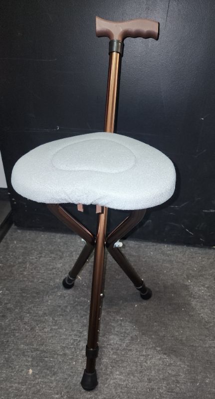 Photo 1 of Portable Cane Chair, Walking Stick, Anti- Slip, 200 Pounds New 
