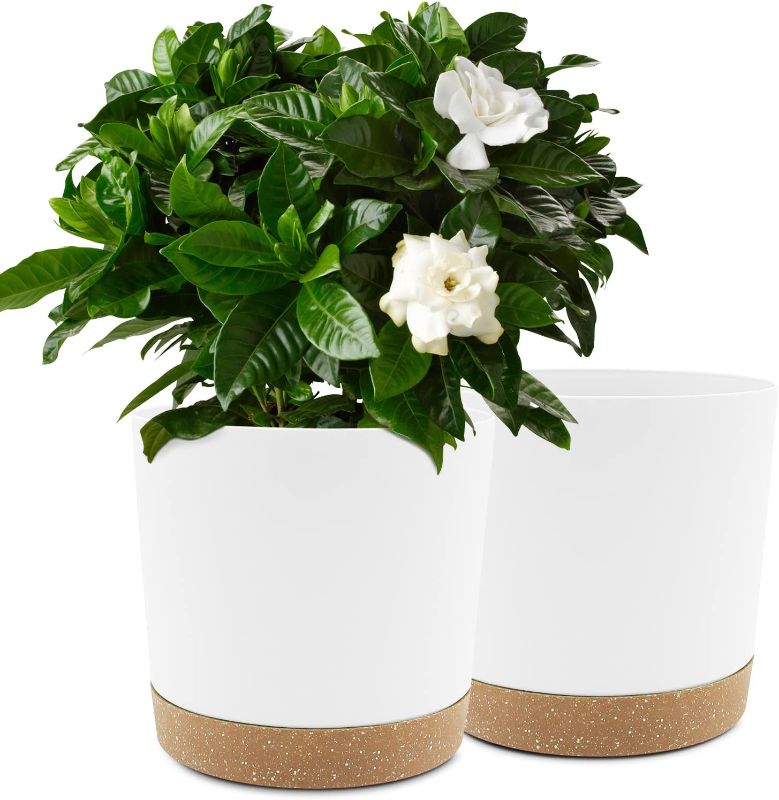 Photo 1 of QCQHDU Plant Pots Set of 2 Pack 10 inch,Planters for Indoor Plants with Drainage Holes and Removable Base,Saucer Modern Decorative for Outdoor Garden Planters(White 10in)
