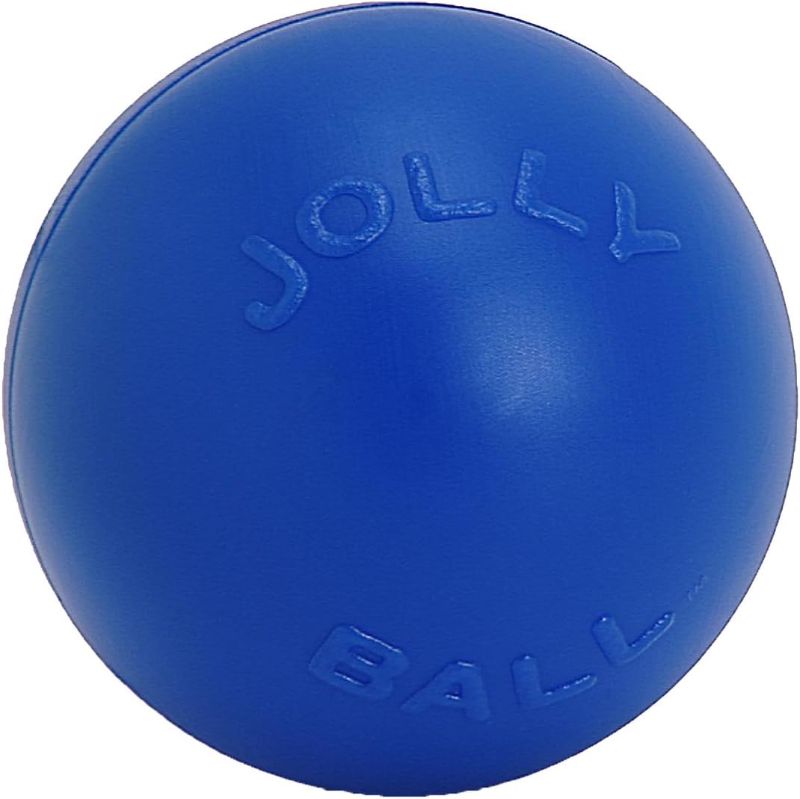 Photo 1 of Jolly Pets Push-n-Play Ball Dog Toy, 10 Inches/Large, Blue
