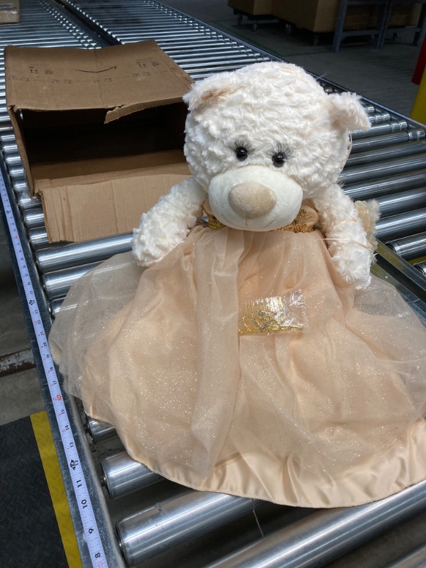 Photo 2 of 20" Teddy Bear with Elegant Dress (Centerpiece) ~ B16631N-34G (Champane)