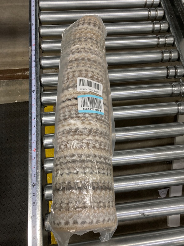 Photo 1 of Garland Rug Carnival Stripe 2 Ft. x 8 Ft. Random Earth Tone Runner Rug 2-Feet by 8-Feet Random Earthtone Stripes