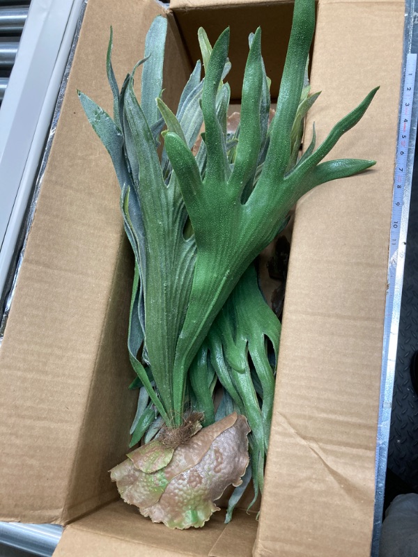 Photo 1 of Angel Isabella Lifelik Large Artificial Staghorn Fern Flocked Grey Green Soft Plastic Realistic Touch-Home Office Rustic Decoration