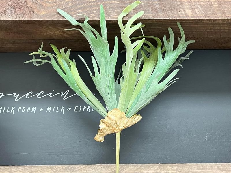 Photo 1 of Angel Isabella Lifelik Large Artificial Staghorn Fern Flocked Grey Green Soft Plastic Realistic Touch-Home Office Rustic Decoration