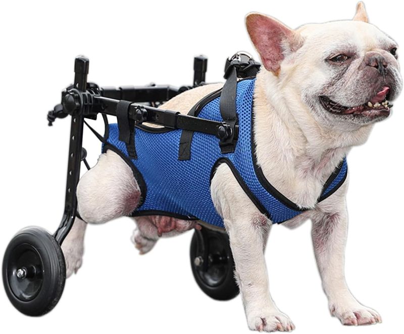 Photo 1 of BECROWM Small Dog Wheelchair for Back Legs, Lightweight, Cat&Dog Wheelchair, Adjustable Pets Cart with Wheels for Back Leg (S)