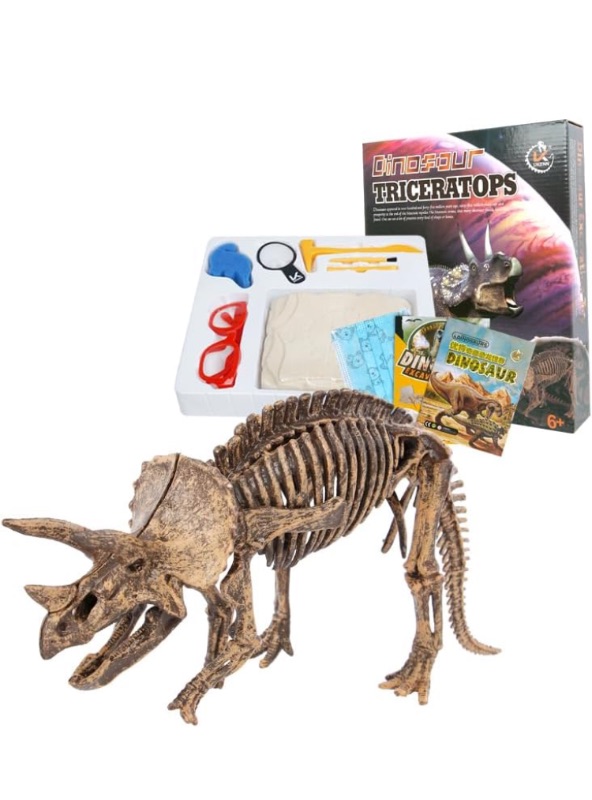 Photo 1 of Digging Fossil Kit for Kids, Dino Excavation Kits for Kids Boys Girls, Standard Triceratops PACK OF 2