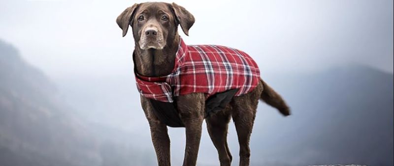 Photo 1 of ****BUNDLE PACK OF 4**** Warm Dog Coat, Reversible Waterproof Winter Dog Jacket Coat - British Style Plaid Dog Clothes Vest Brown X-Small (Pack of 1)