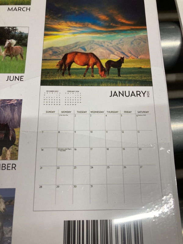 Photo 3 of Horses Calendar 2024 with Sticker Pack, Large 12 x 12 inch, Horse Wall Calendar with Sticker Set, Gift for Horse Lovers, Cute Calendar for girls 4 PSC 