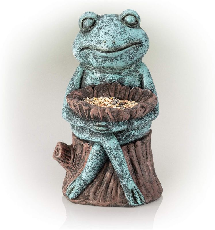 Photo 1 of Alpine Corporation 16" Tall Indoor/Outdoor Frog with Flower Garden Statue Decoration, Multicolor