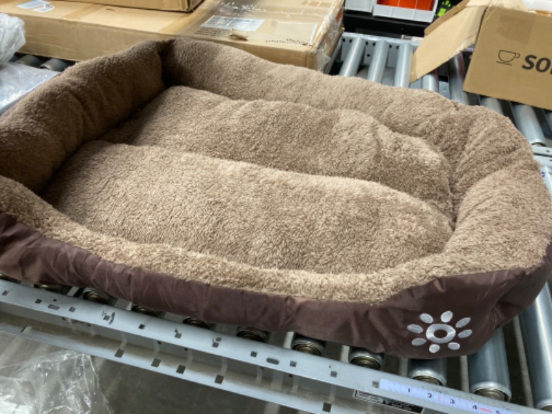 Photo 2 of BROWN DOG BED