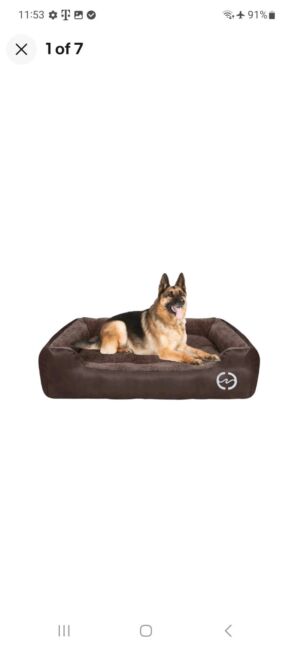 Photo 1 of BROWN DOG BED