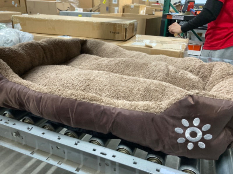 Photo 3 of BROWN DOG BED