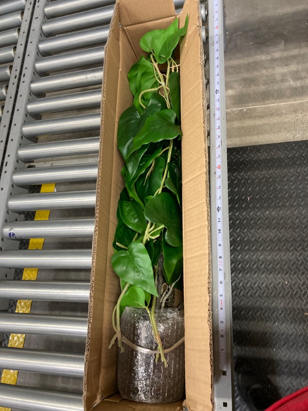 Photo 1 of ARTIFICAL TREE POTHOS SET OF 1