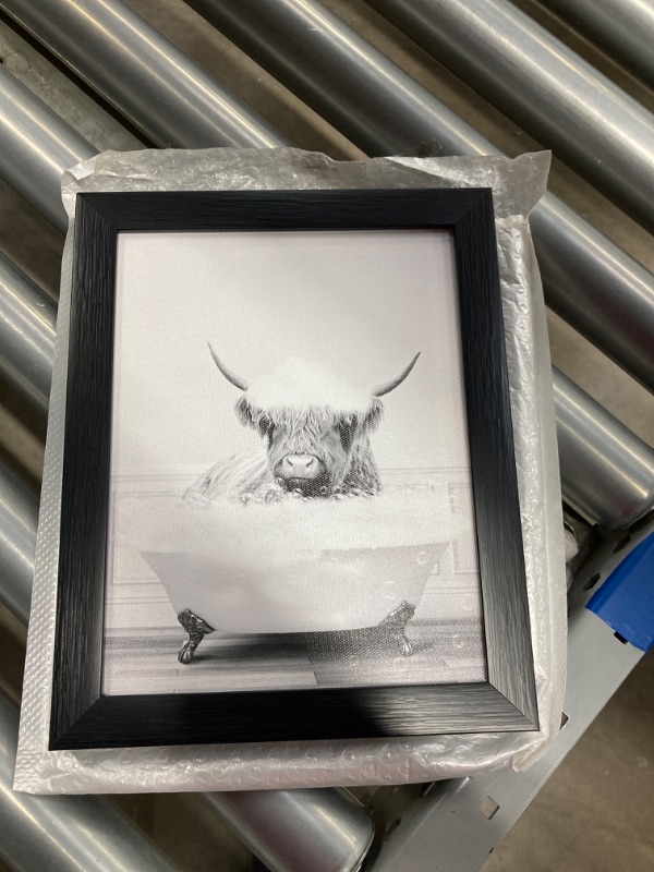 Photo 2 of Funny Highland Cow Framed Wall Art in Bathtub,Black and White Canvas Cow in Bathroom Picture, Farmhouse Bathroom Decor,Humor Animals Bathroom Painting Canvas Rustic Style Artwork(8"x10", Framed)