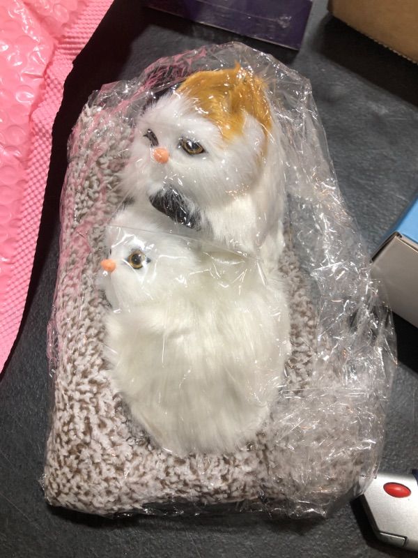Photo 1 of 2 CAT DECOR  