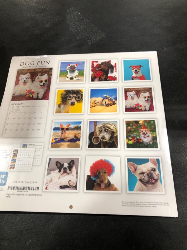 Photo 2 of Dog Fun 2024 Hangable Wall Calendar Monthly - 12" x 24" Open - Cute Costume Dressed Up Playing Puppies Photo Gift - Sturdy Thick Puppy Dogs Photography - Gifting Idea for Secret Santa, Teacher, Adults, Friends, Kids & Coworkers - Large Full Page 16 Months