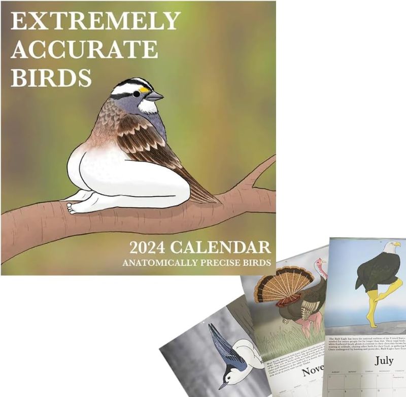 Photo 1 of 2024 Calendar Of Extremely Accurate Birds,2024 Birds Calendar Wall Calendar Jan 2024 - Dec 2024?Funny Birds Calendar Gag Gifts?Wall Art Gag Humor Gift for Friends (Extremely Accurate Birds) 