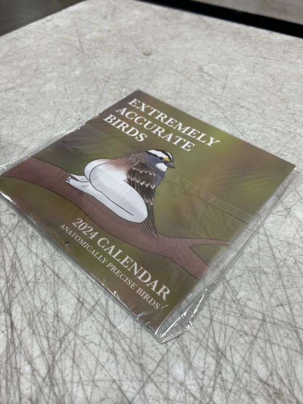 Photo 2 of 2024 Calendar Of Extremely Accurate Birds,2024 Birds Calendar Wall Calendar Jan 2024 - Dec 2024?Funny Birds Calendar Gag Gifts?Wall Art Gag Humor Gift for Friends (Extremely Accurate Birds) 
