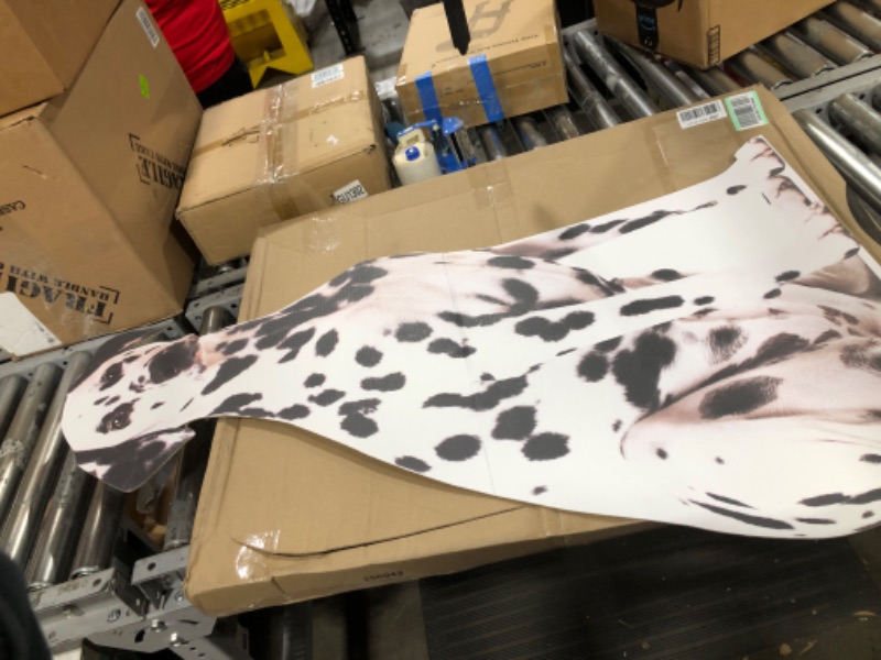 Photo 1 of Cardboard People Dalmation Dog Life Size Cardboard Cutout Standup - Made in USA Dalmation Dog One Size
