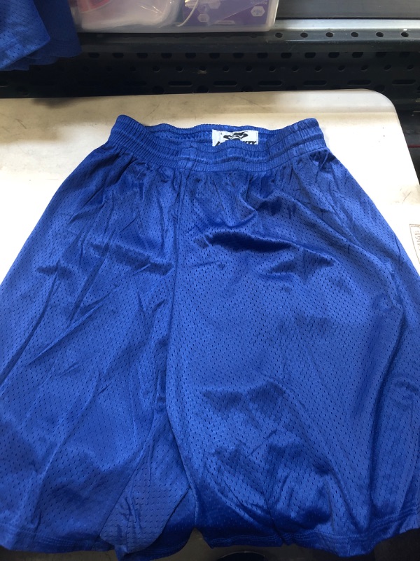 Photo 1 of intensity size large athletic shorts 