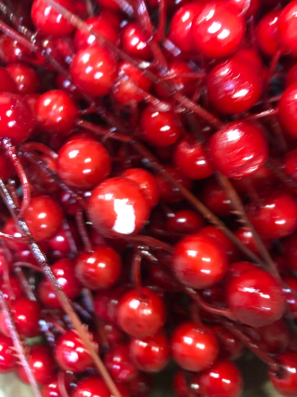 Photo 3 of 30 Artificial Red Berry Stems,7.9 Inch Christmas Holly Berry Branches Red Berry Picks for Holiday Home Decor and Crafts