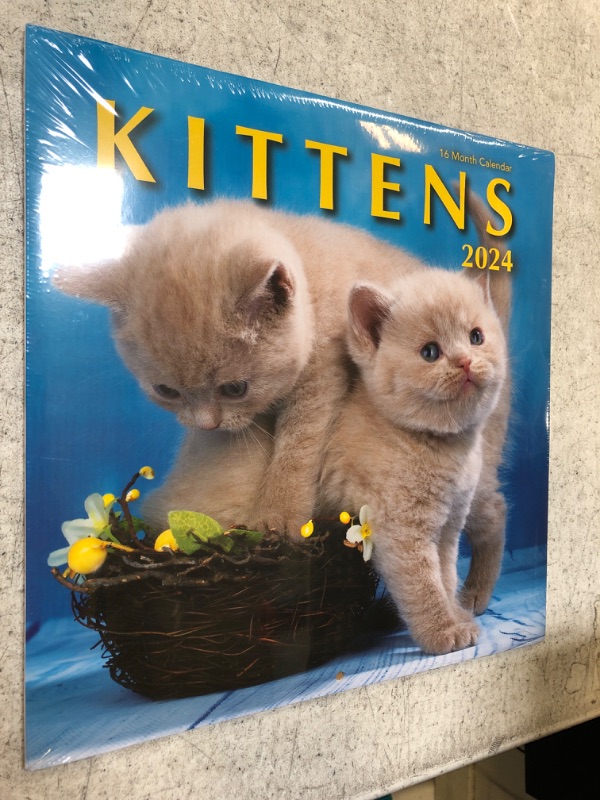 Photo 2 of Kittens 2023 Hangable Wall Calendar - 12" x 24" Open - Cute Kitty Cat Photo Gift - Sturdy Thick Beautiful Kitten Photography - Large Full Page 16 Months for Organizing & Planning - Includes 2022