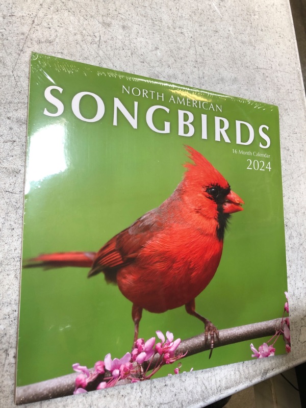 Photo 2 of Songbirds 2024 Hangable Wall Calendar Monthly - 12" x 12" - North America Beautiful Wildlife Majestic Bird Photo Gift - Forest Birds Nature Photography - Secret Santa Office Gifting for Him Her- Including Cardinal Blue Jay Oriole Sturdy Thick Large Full P