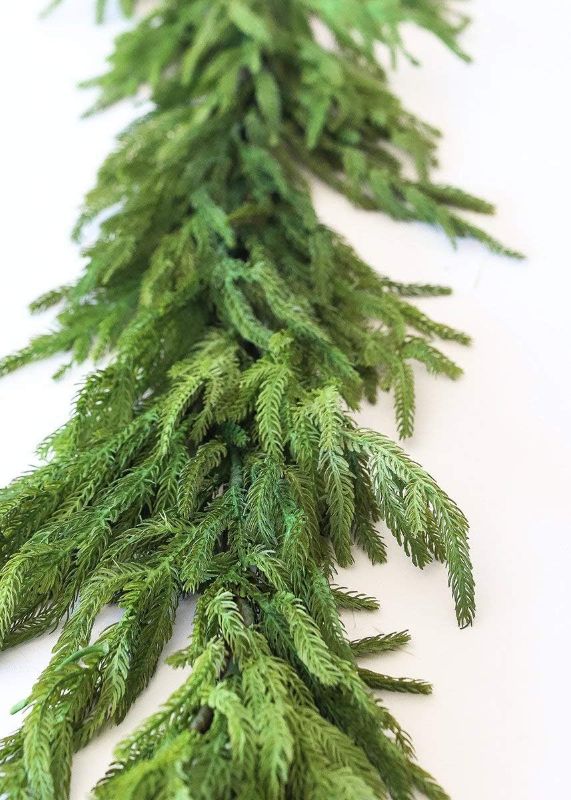 Photo 1 of al Touch Norfolk Pine Garland -Wedding, Event and Home Decor