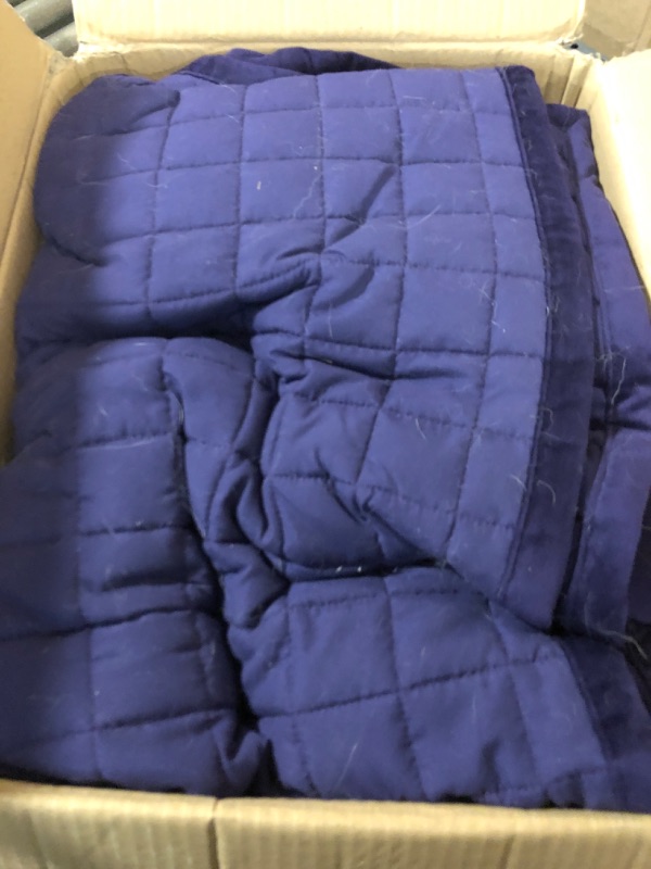 Photo 2 of  Alternative Comforter Set - Lightweight All Seasons Luxurious Brushed Microfiber Comforter (Queen, Dark Purple)