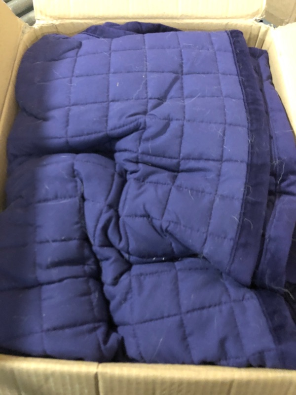 Photo 1 of  Alternative Comforter Set - Lightweight All Seasons Luxurious Brushed Microfiber Comforter (Queen, Dark Purple)