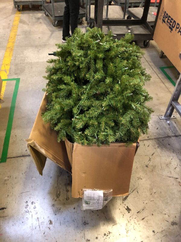 Photo 1 of 7.5ft National Tree Company Dunhill Fir Hinged Full LED Artificial Tree with 700 Low Voltage Dual Led Lights with 9 Function Footswitch