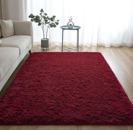 Photo 1 of  Shag Area Rug