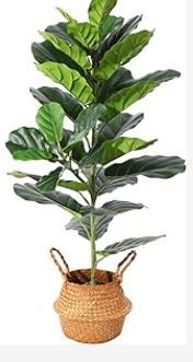 Photo 1 of 
Ferrgoal Artificial Fiddle Leaf Fig Plants Fake Ficus Lyrata Tree With 32 Leaves in Pot and Woven Seagrass...