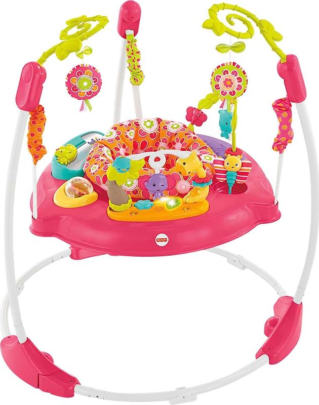 Photo 1 of Fisher-Price Baby Bouncer Pink Petals Jumperoo Activity Center with Music Lights Sounds and Developmental Toys
