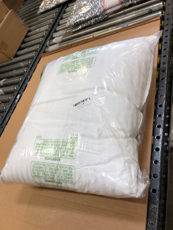 Photo 1 of BED PILLOW 