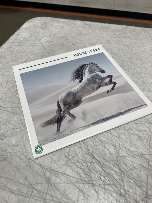 Photo 2 of Horse Calendar 2024 12" x 12" FSC® Plastic Free - Starts Week On Sunday | 12 Month Planner | Square Wall Calendar 2024 | Family Planner Calendar 2024 | Horse Wall Calendar 2024 Horses 2024
