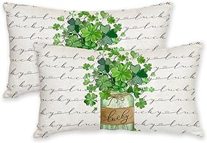 Photo 1 of AACORS St.Patricks Day Pillow Covers 12X20 Inch Set of 2,Clover Vase Lucky Decorations Holiday Spring Decorative Pillow Case Decor for Sofa Couch (Green) AK030-12 