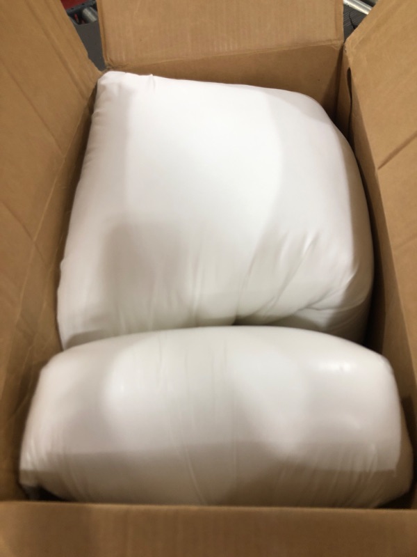 Photo 1 of 2 pack of pillows