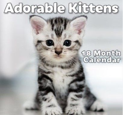 Photo 1 of 12-Month Calendar for 2024 Hanging Adorable Kittens (11x17 Open) Wall Calendar 100% Biodegradable