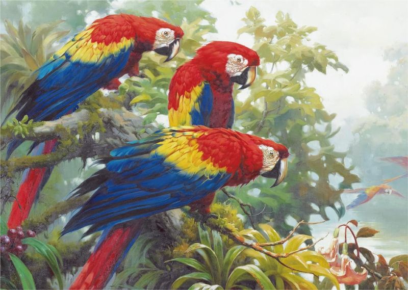 Photo 1 of 1000 Pieces of Paper Puzzle for Parrots (Parrot)