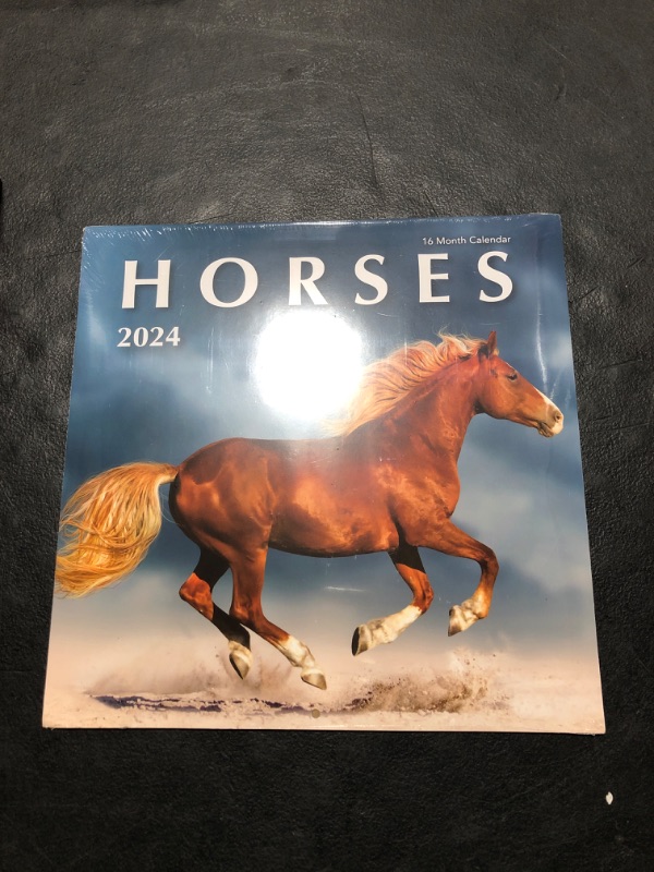 Photo 2 of 2024 Horses Hangable Wall Calendar - 12" x12” - Beautiful Wild Stallion Horse Photo Gift - Cute Little Pony Mustang Animal Photography - Sturdy Thick Large Full Page 16 Months for Organizing &