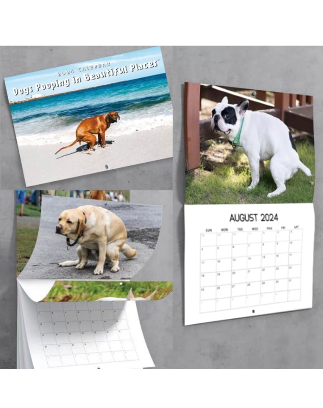 Photo 1 of 2024 Wall Calendar Pooping in Beautiful Places Desktop Calendars Jan 2024 - Dec 2024, 10" x 15.6" Open, Full Page Months Thick Sturdy Paper for Funny Wall Art Gag Humor Gift Prank Calendar