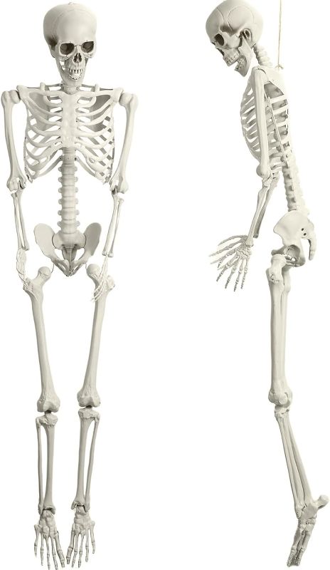 Photo 1 of 2Pack 5.4Ft Halloween Life Size Skeleton Halloween Decor, Posable Human Skeletons Decorations, Full Size Skeleton with Movable Joints for Halloween Party Outdoor Haunted House Decor (2-White)