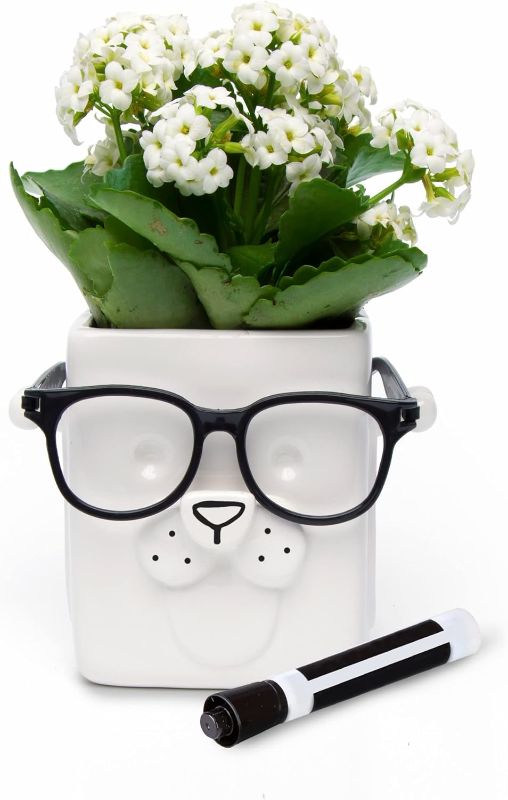 Photo 1 of ***GLASSES NOT INCLUDED***
30 Watt | Puppy Planter | Novelty Planter Pot Holds Plants, Glasses & You Can Draw On It. Elegant Ceramic Vase for Succulents, Cacti or Your Average Fern, Perfect Gifting Idea