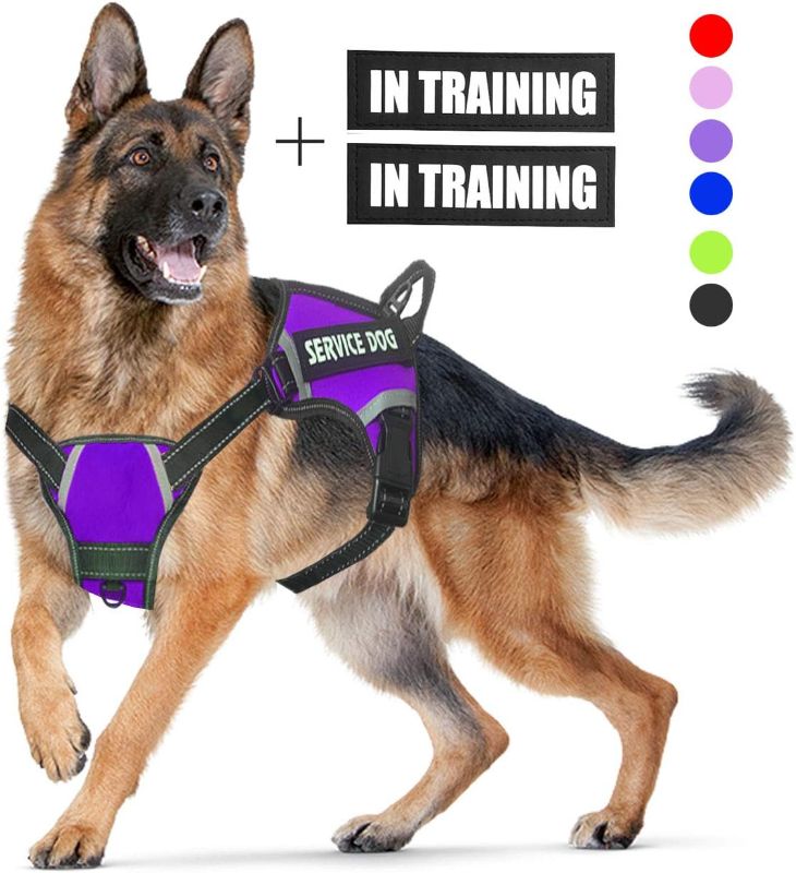 Photo 1 of 
Roll over image to zoom in







Service Dog Harness,No-Pull Dog Harness with Handle Adjustable Reflective Pet Dog in Training Vest Harness,Easy Control for Small Medium Large Breed Outdoor Walking Hiking XXL
