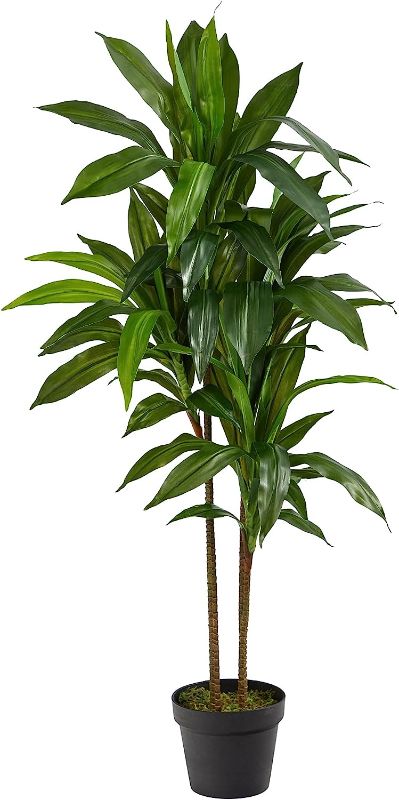 Photo 1 of ***NOT EXACT***
Nearly Natural Real Touch Leaves Artificial Dracaena Plant, 4ft, Green
