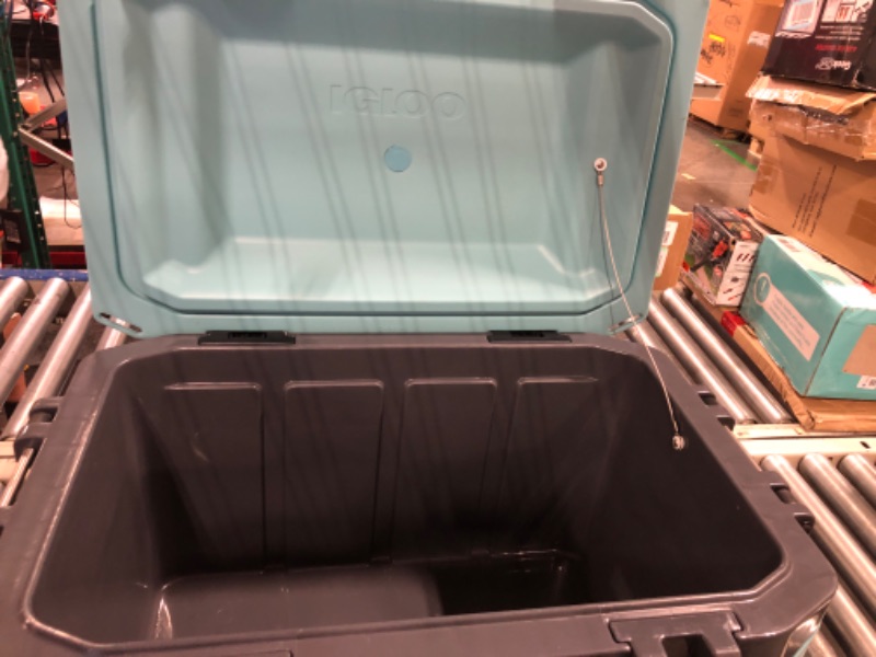 Photo 1 of Igloo BMX 52 Quart Cooler with Cool Riser Technology, Fish Ruler, and Tie-Down Points Celadon