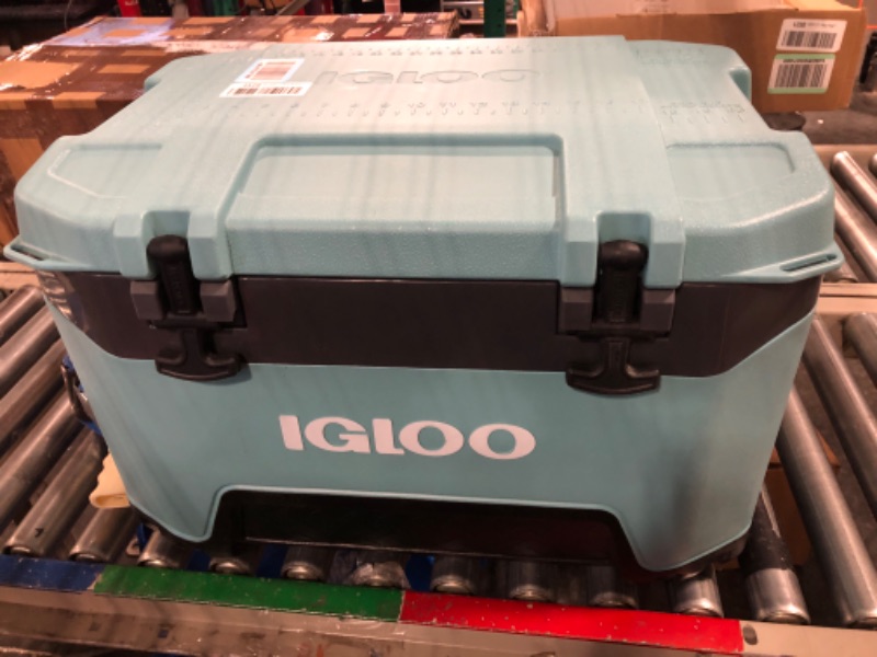 Photo 1 of Igloo BMX 52 Quart Cooler with Cool Riser Technology, Fish Ruler, and Tie-Down Points Celadon