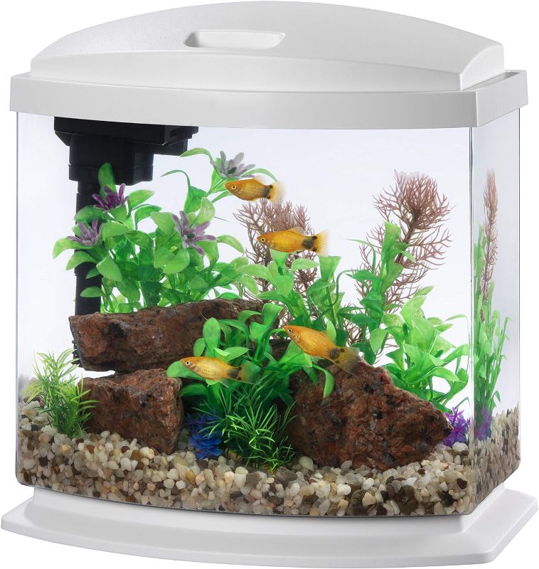 Photo 1 of Aqueon LED MiniBow Aquarium Kit with SmartClean Technology, White, 2.5 Gallon
